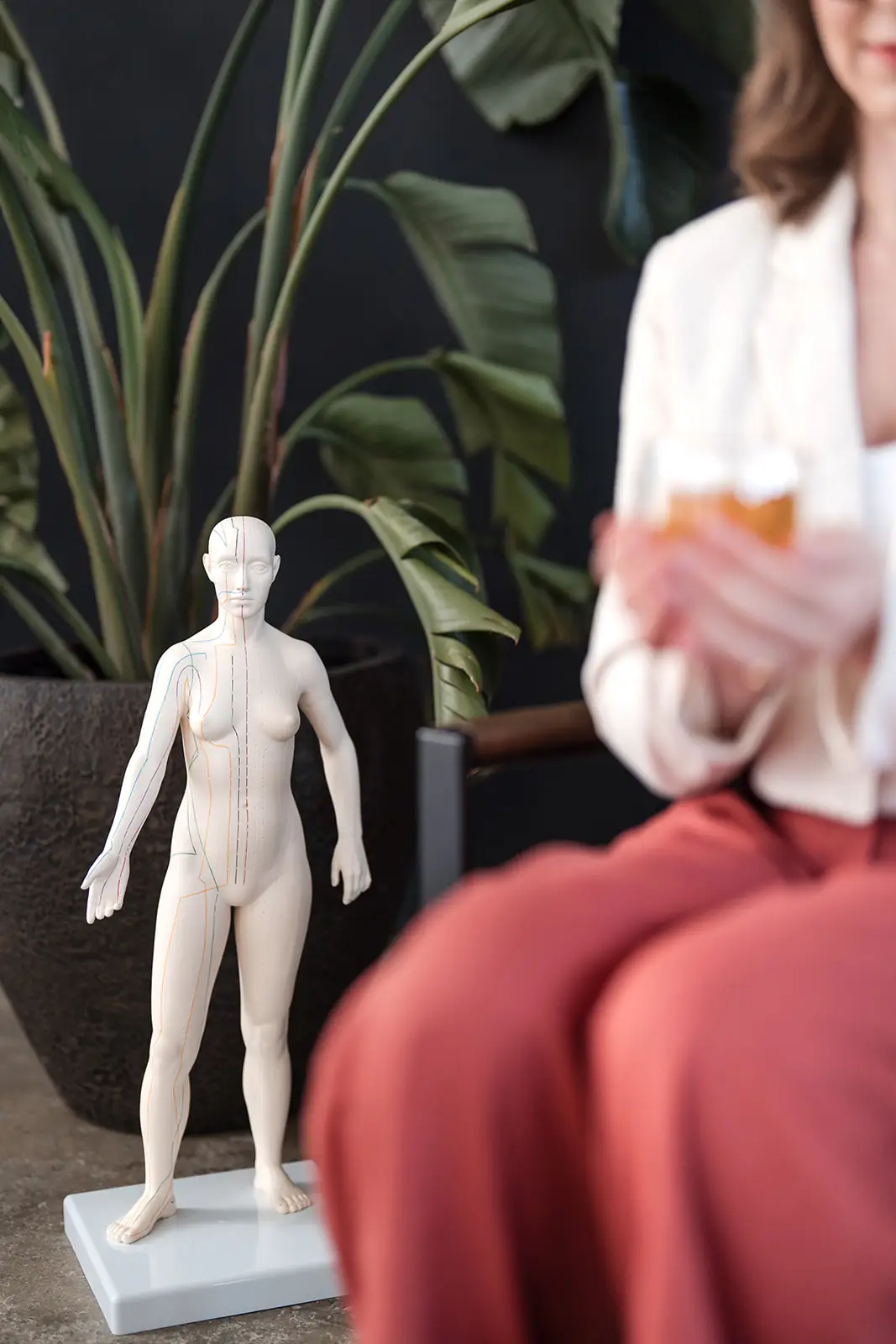 Schmuckbild: Modell der Meridiane und chinesischer Kräutertee in der TCM-Praxis